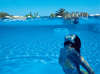 Sani Beach Hotel 
